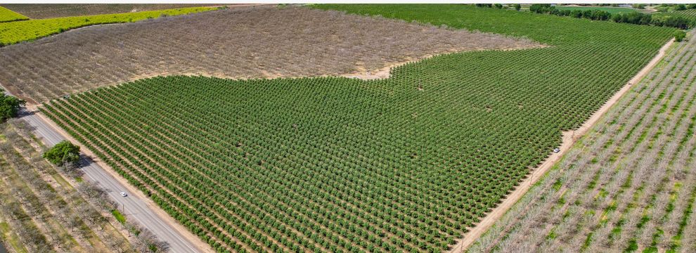Recreational Property for sale in Sutter County, California