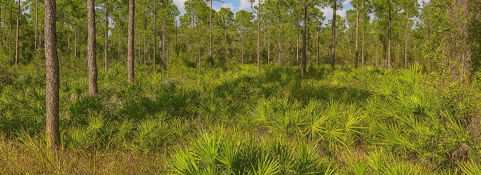 Farm and Ranch for sale in Charlotte County, Florida