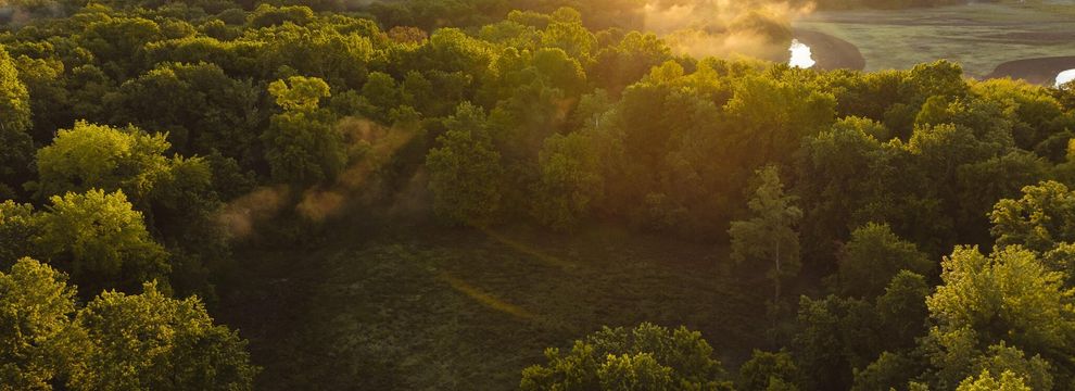 Recreational Property for sale in Obion County, Tennessee
