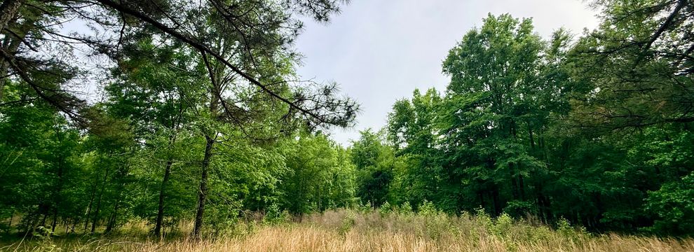 Land for sale in Hancock County, Georgia