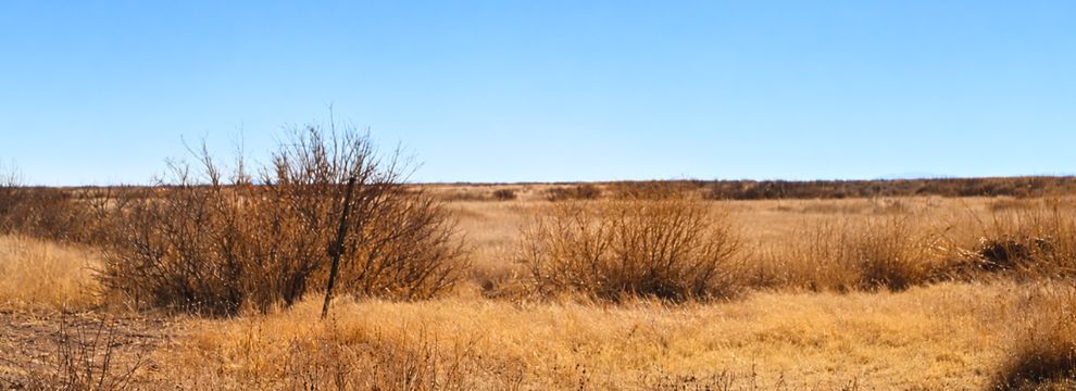 Land for sale in Luna County, New Mexico