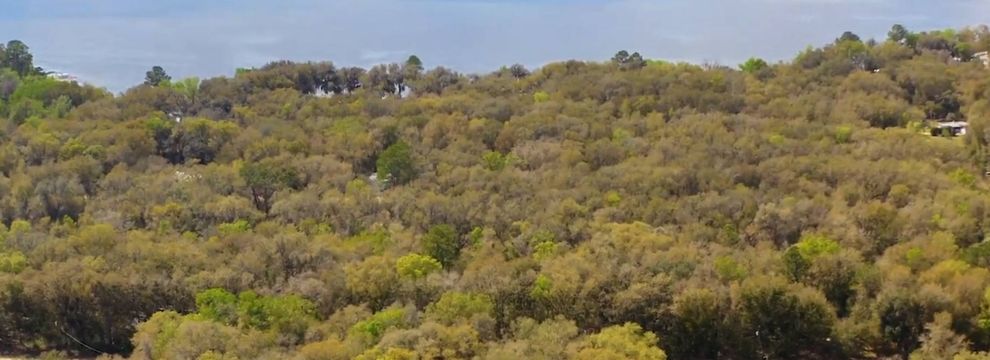 Timberland Property for sale in Putnam County, Florida