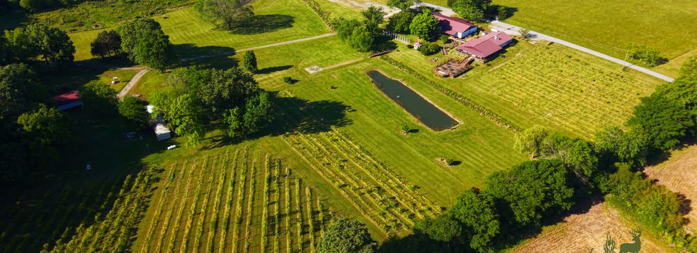 Farm and Ranch for sale in Johnson County, Illinois