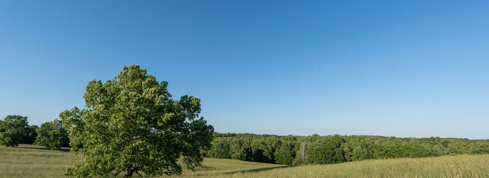 Farm and Ranch for sale in Jackson County, Georgia
