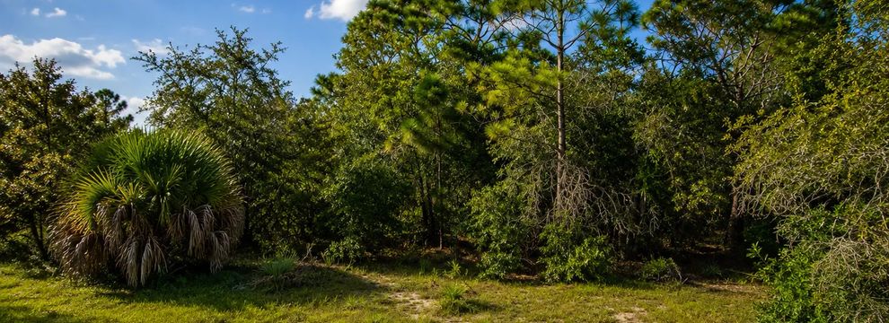 Undeveloped Land for sale in Charlotte County, Florida