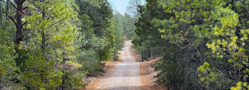 Land for sale in Otero County, New Mexico