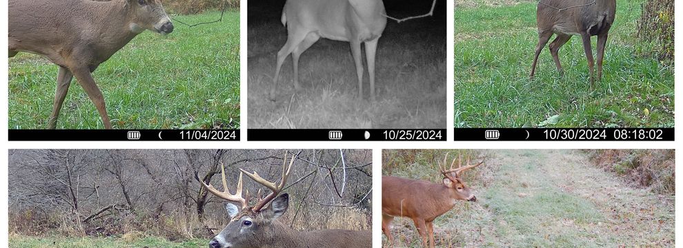 Recreational Property for sale in Juneau County, Wisconsin
