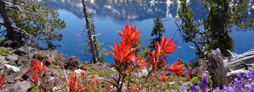 Farm and Ranch for sale in Klamath County, Oregon