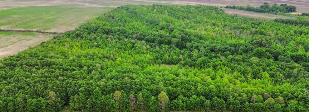 Farm and Ranch for sale in Coahoma County, Mississippi