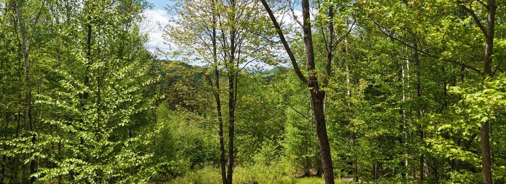 Recreational Property for sale in Oxford County, Maine