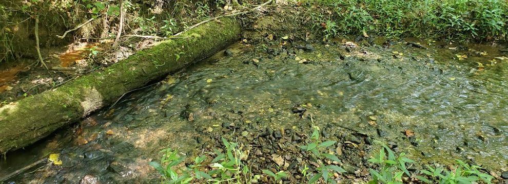 Farm and Ranch for sale in Rutherford County, North Carolina