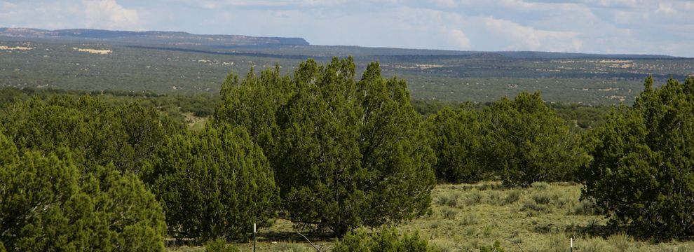 Land for sale in Apache County, Arizona