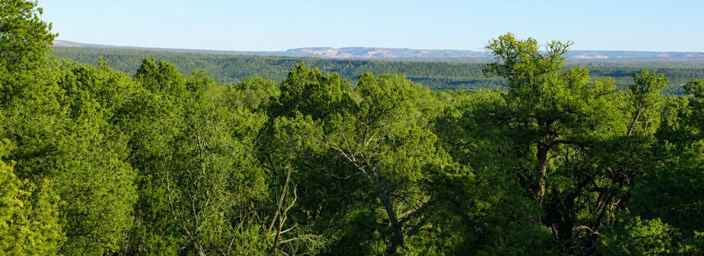 Farm and Ranch for sale in Apache County, Arizona