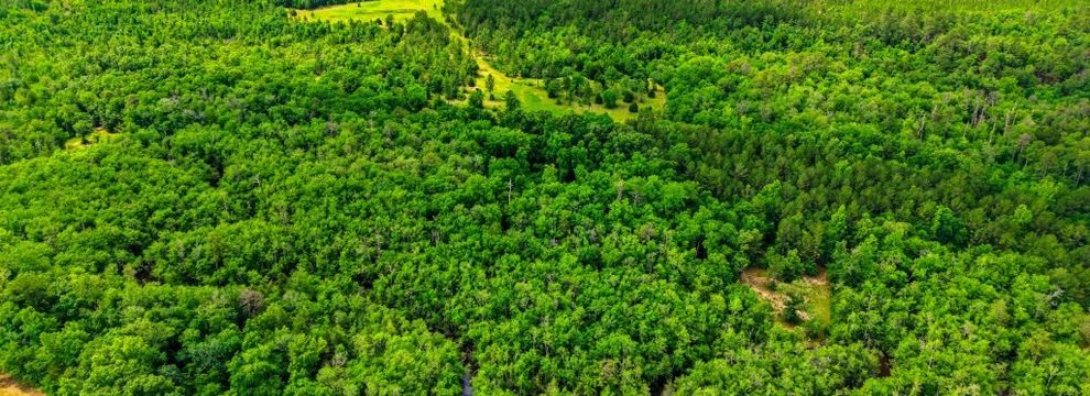 Farm and Ranch for sale in Taylor County, Georgia
