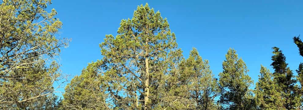 Farm and Ranch for sale in Klamath County, Oregon