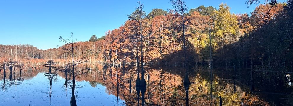 Farm and Ranch for sale in Darlington County, South Carolina