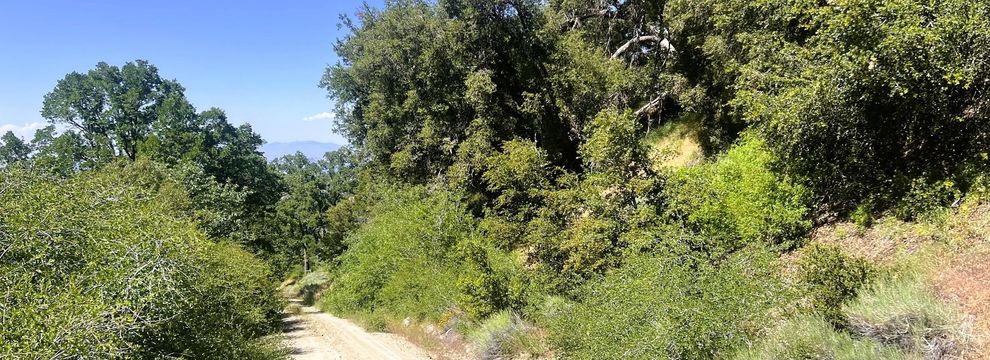 Undeveloped Land for sale in Kern County, California