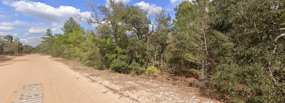 Timberland Property for sale in Putnam County, Florida
