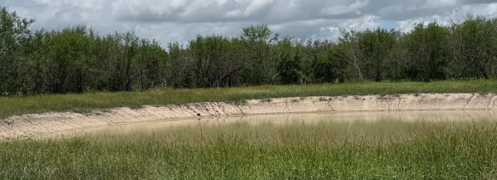 Undeveloped Land for sale in Jim Wells County, Texas