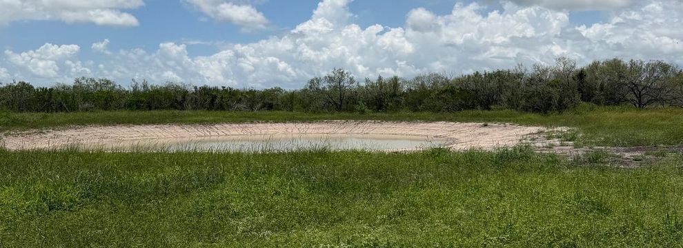 Farm and Ranch for sale in Jim Wells County, Texas