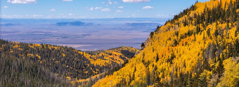 Recreational Property for sale in Costilla County, Colorado