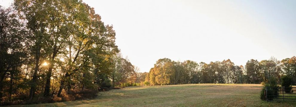 Timberland Property for sale in Williamson County, Tennessee
