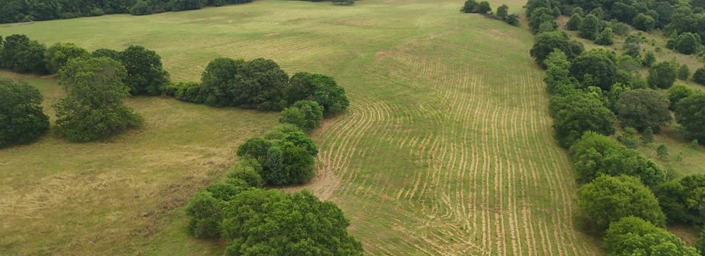Timberland Property for sale in Upson County, Georgia