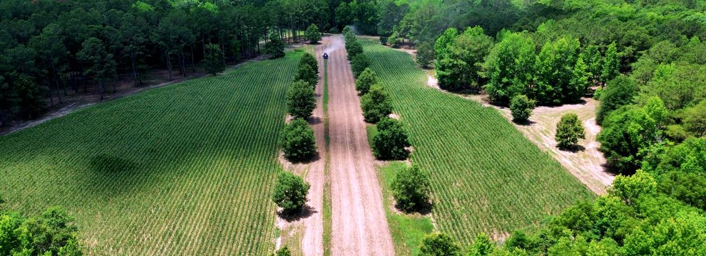 Farm and Ranch for sale in Colleton County, South Carolina