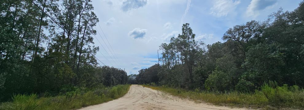 Timberland Property for sale in Putnam County, Florida