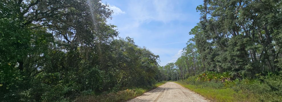 Timberland Property for sale in Putnam County, Florida