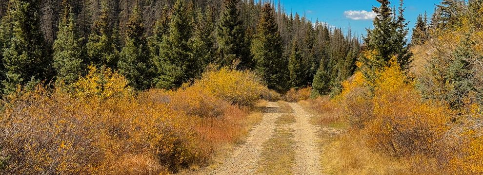 Farm and Ranch for sale in Costilla County, Colorado