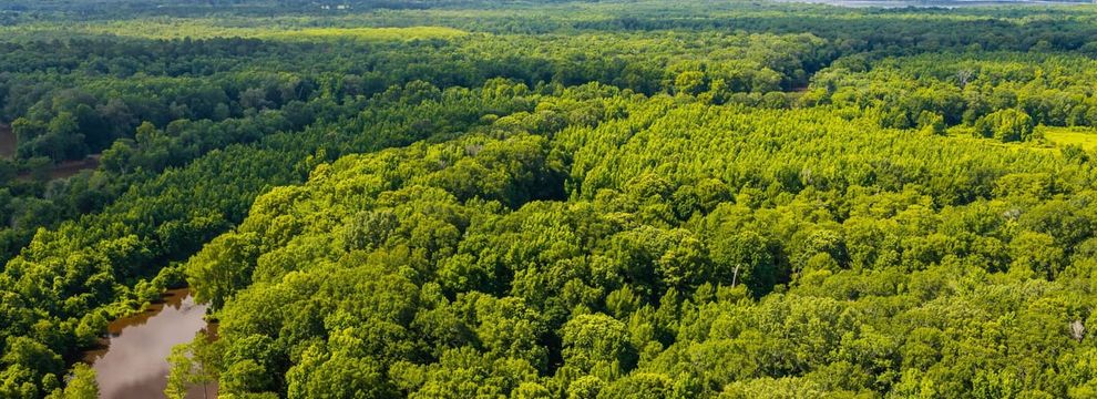 Recreational Property for sale in Perry County, Arkansas