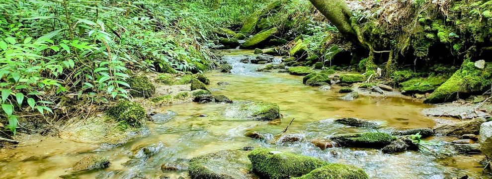 Timberland Property for sale in Cherokee County, North Carolina