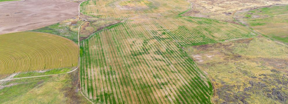 Farm and Ranch for sale in Bingham County, Idaho