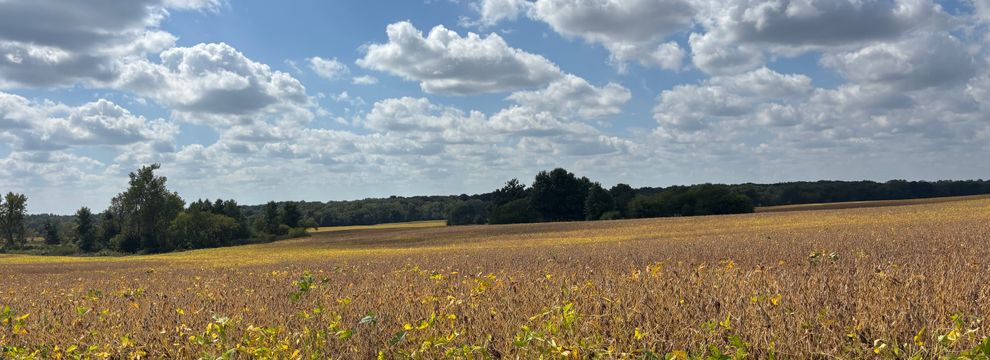 Timberland Property for sale in Carroll County, Missouri