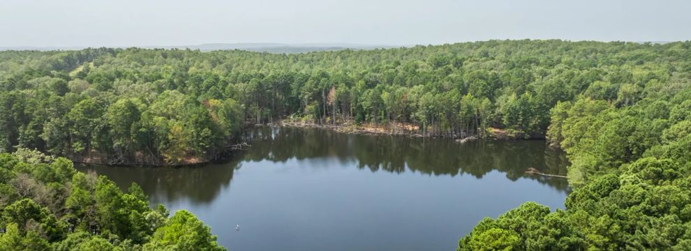 Undeveloped Land for sale in Pulaski County, Arkansas