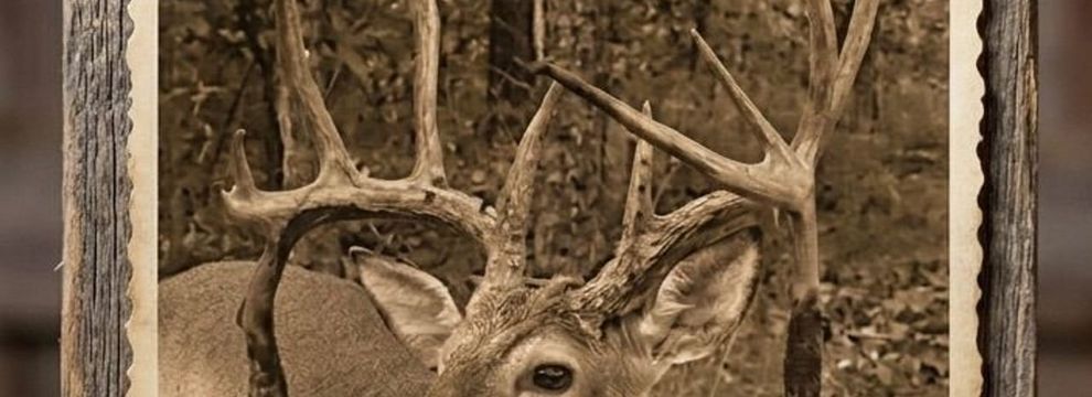 Hunting Property for sale in Le Flore County, Oklahoma