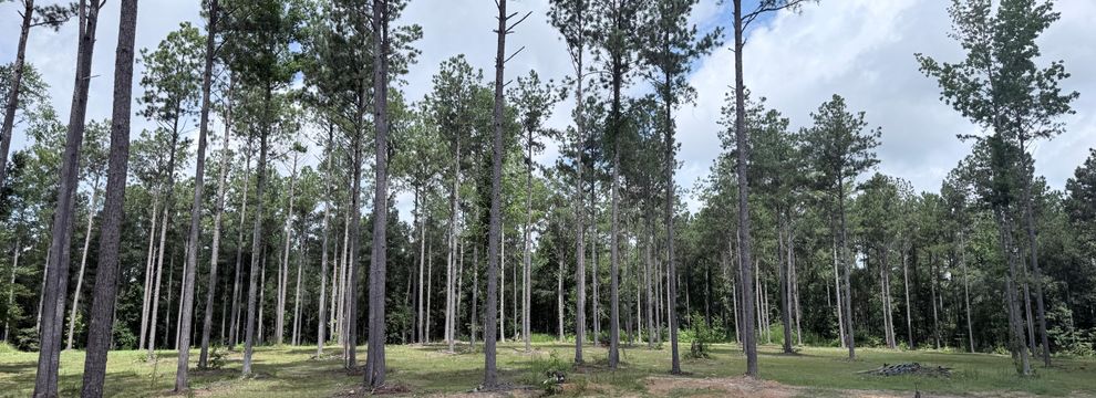 Land for sale in Troup County, Georgia