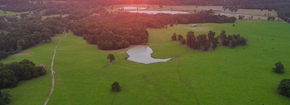 Farm and Ranch for sale in Harrison County, Texas