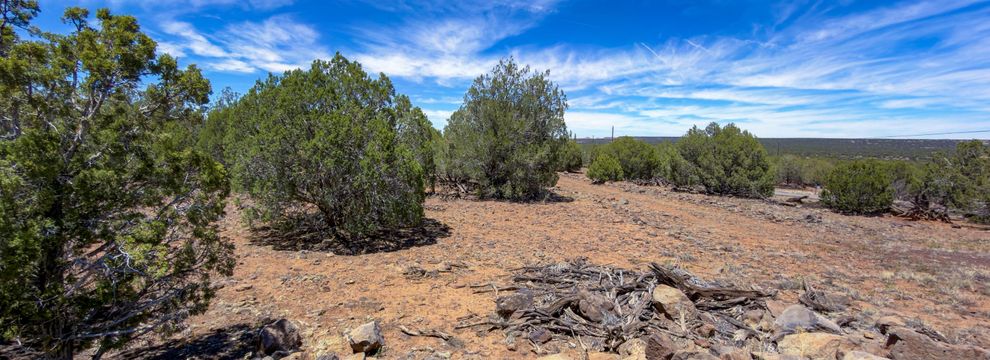 Undeveloped Land for sale in Navajo County, Arizona