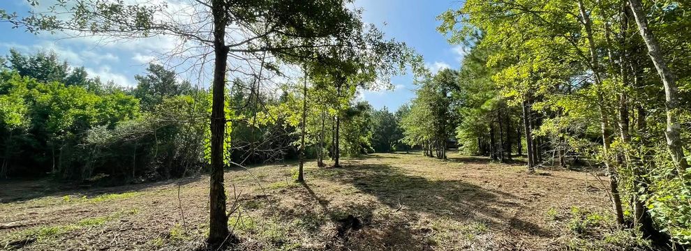Land for sale in Polk County, Texas