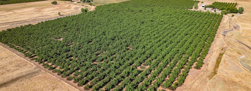 Land for sale in Tehama County, California