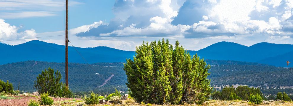 Undeveloped Land for sale in Apache County, Arizona