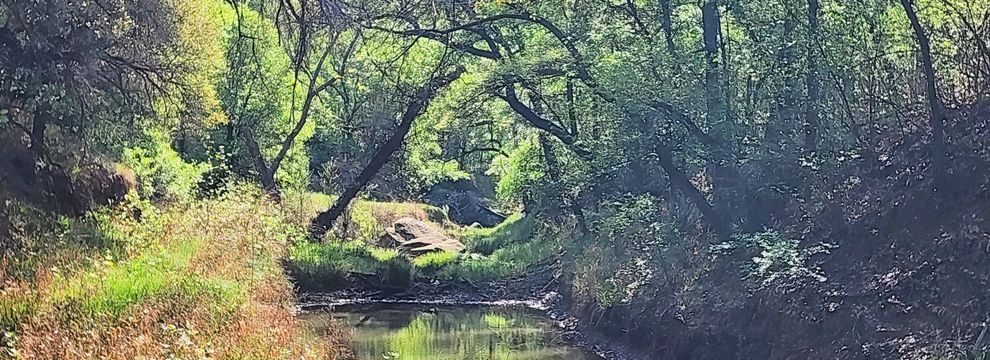 Timberland Property for sale in Palo Pinto County, Texas