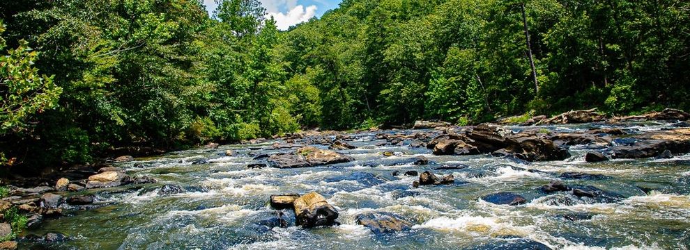 Farm and Ranch for sale in Pickens County, Georgia