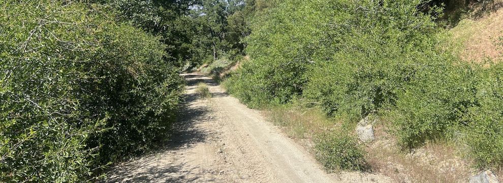 Farm and Ranch for sale in Kern County, California