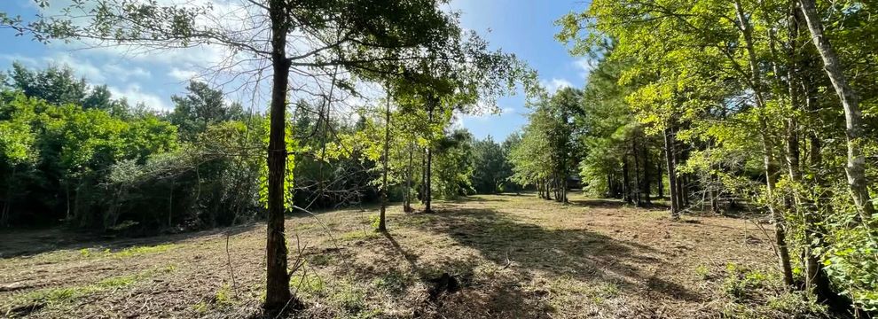Farm and Ranch for sale in Polk County, Texas