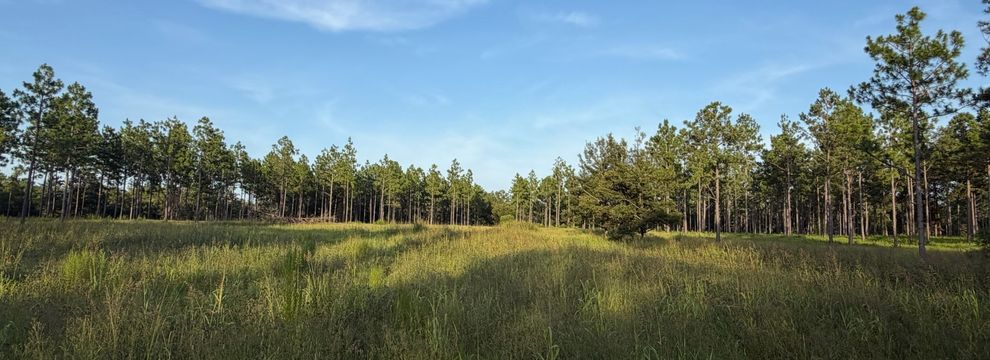 Farm and Ranch for sale in Terrell County, Georgia