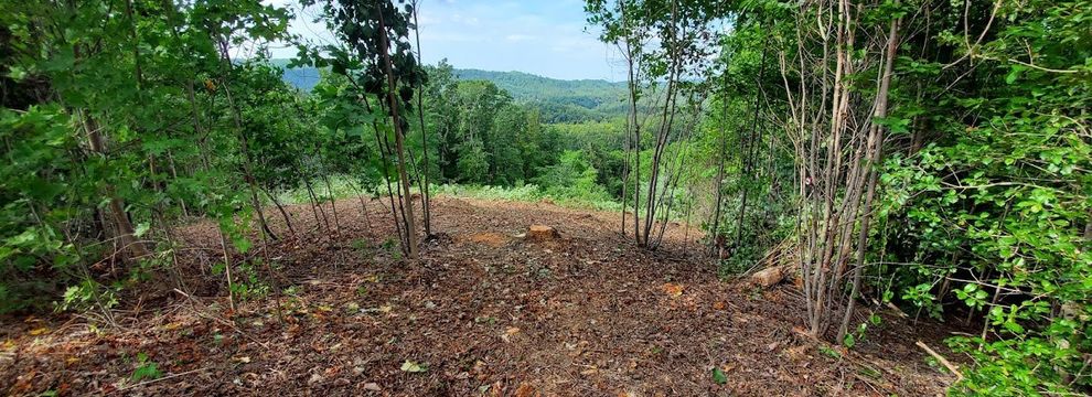 Land for sale in Rutherford County, North Carolina