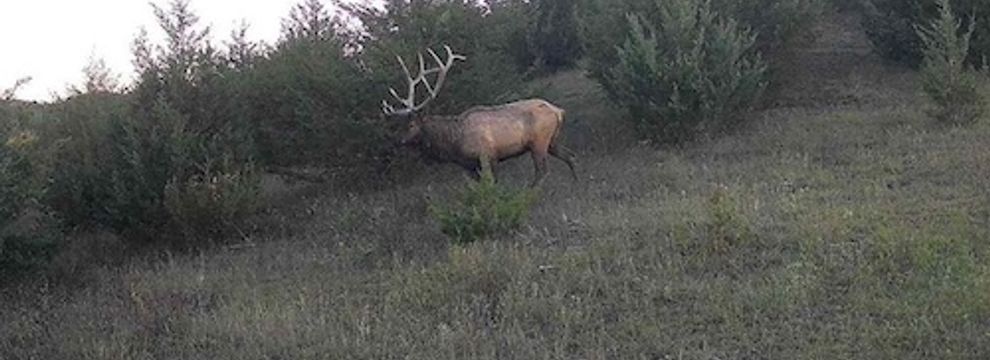 Land for sale in Lyman County, South Dakota